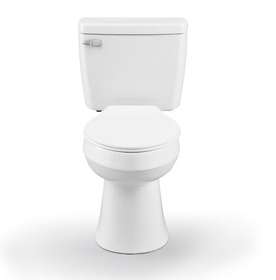 Project Source Pro-Flush Elongated Chair Height 2-Piece WaterSense Toilet: $89 Project Source Pro-Flush Elongated Chair Height 2-Piece WaterSense Toilet: $89