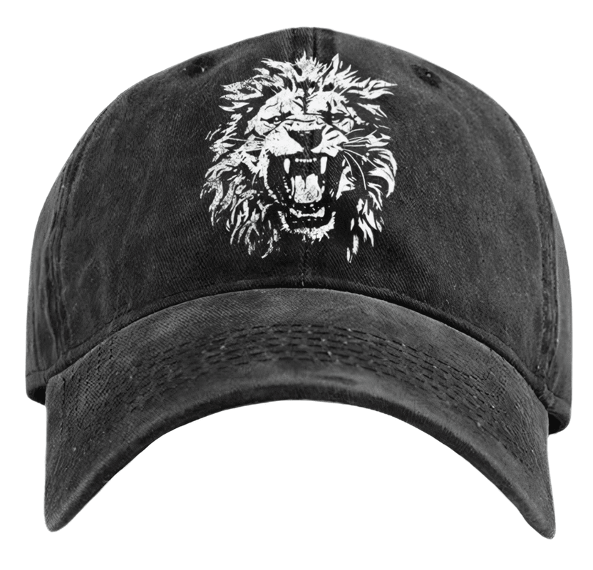IronPanda Roaring Lion Washed Gym Cap: $15.19
