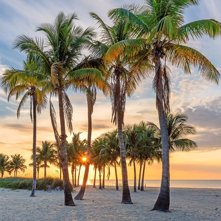 Bahamas Cruises at CruiseDirect: From $190 per person