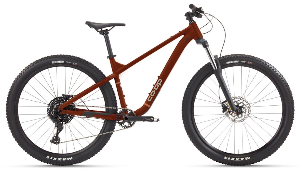 REI Labor Day Bike Sale: 20% to 40% off REI Labor Day Bike Sale: 20% to 40% off