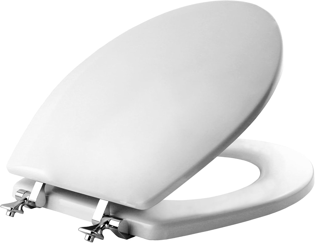 Mayfair Edgewater Toilet Seat: $13