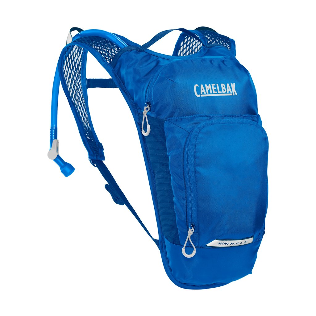 CamelBak Mini Mule Hydration Pack: $25 CamelBak Mini Mule Hydration Pack: $25