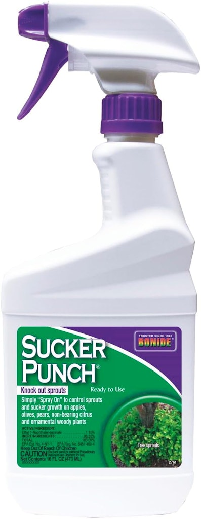 Bonide Sucker Punch 16-oz. Spray: $19