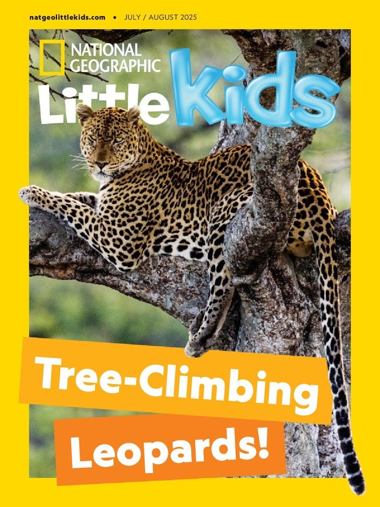 DiscountMags Back to School Sale: Up to 70% off DiscountMags Back to School Sale: Up to 70% off
