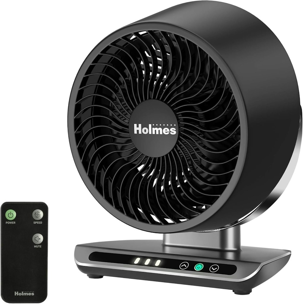 Holmes Blizzard 8" Air Circulator Digital Fan: $25