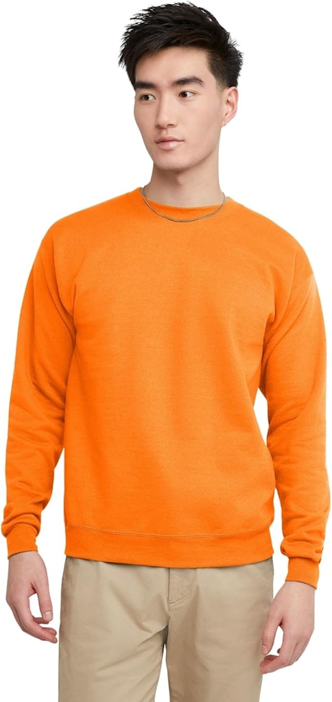 Hanes Men's EcoSmart Fleece Crewneck Sweatshirt: $8