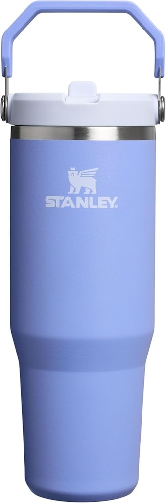 Stanley 30-oz. IceFlow Flip Straw Tumbler: $18