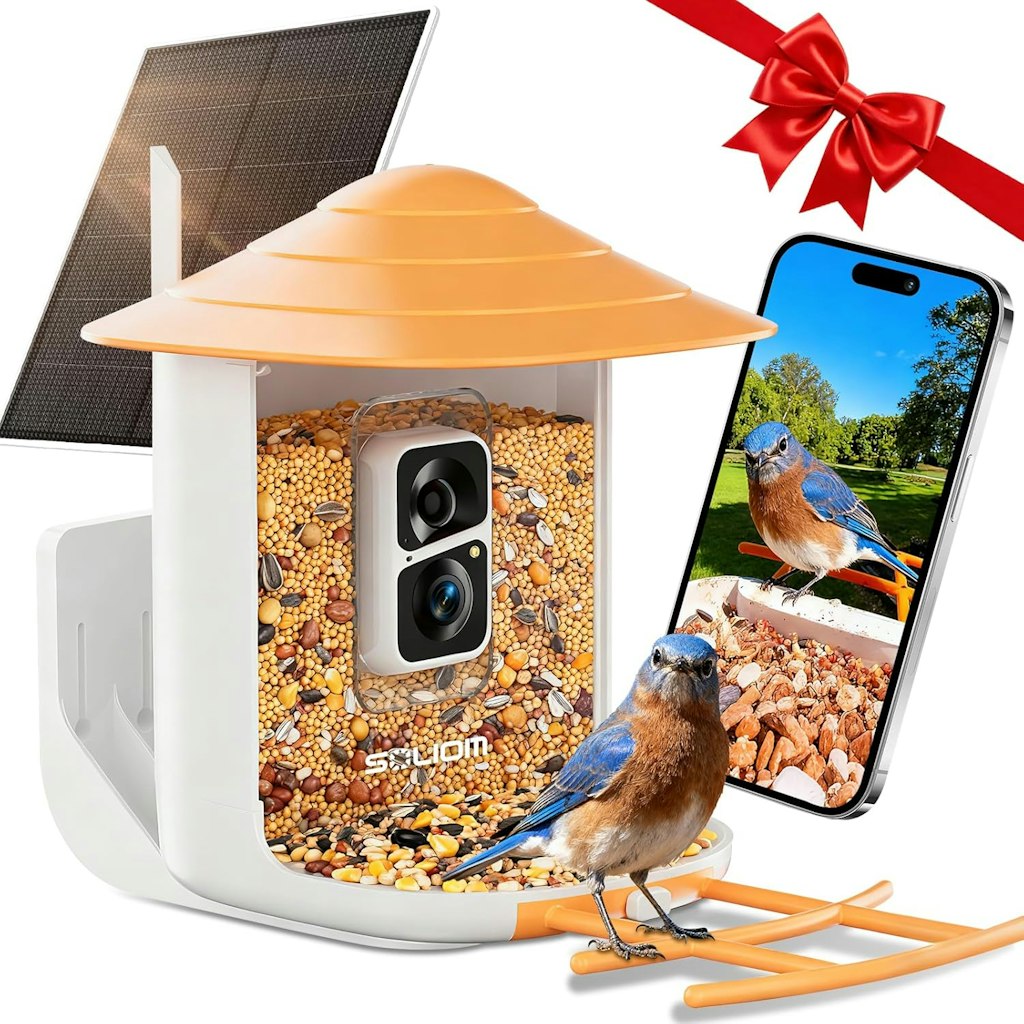Smart Bird Feeder with Camera: $29 Smart Bird Feeder with Camera: $29