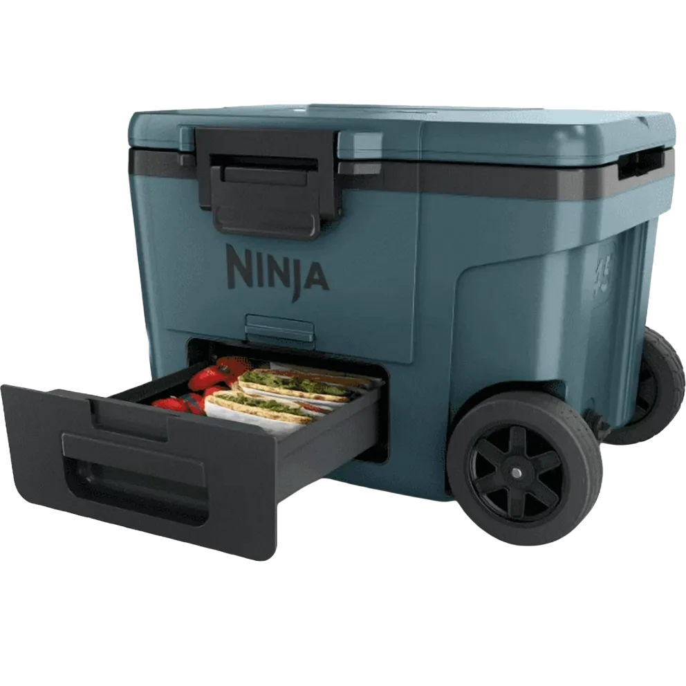 Ninja FrostVault 45-Quart Cooler: $169.99