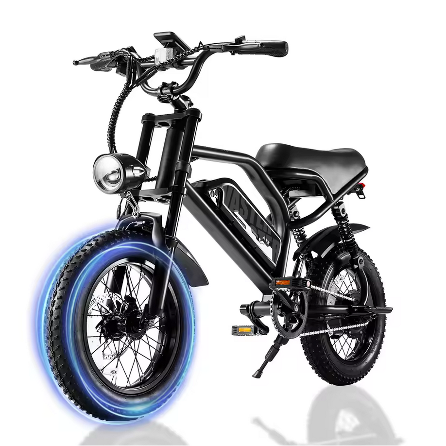 VDL Mountain Electric Bike: $402