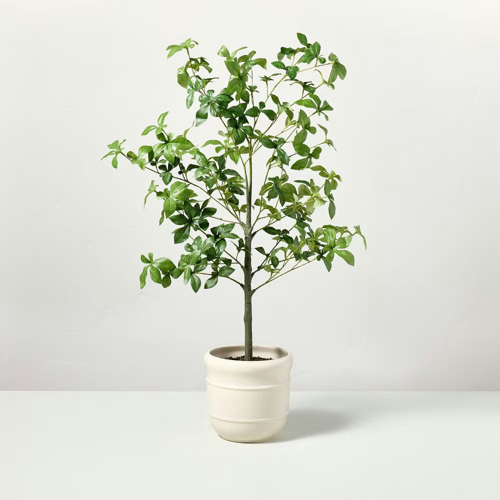 33" Faux Potted Gypsophila Leaf Tree: $23 33" Faux Potted Gypsophila Leaf Tree: $23