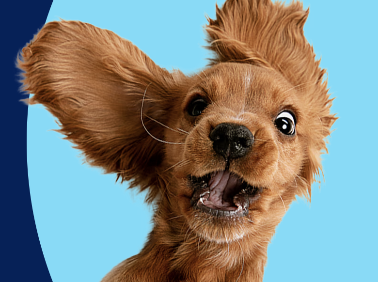 Petco January In-Store Weekend Events: Free tastings and more