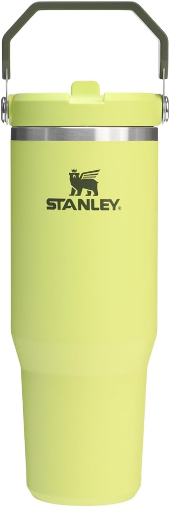 Stanley IceFlow 2.0 30-oz. Flip Straw Tumbler: $23
