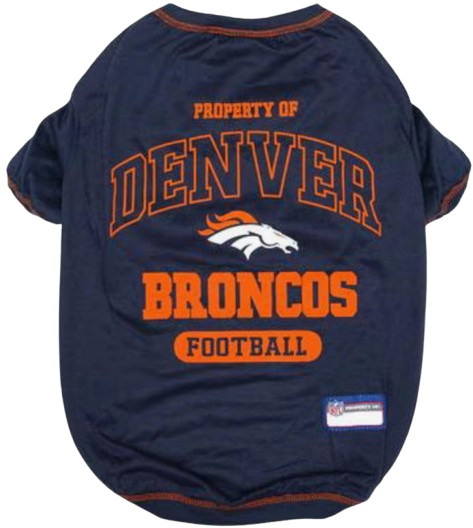 Game Day Essentials at Chewy: Up to 73% off
