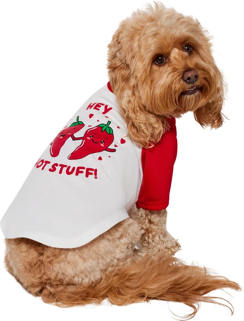 Valentine's Day Dog Gifts at Chewy: Get deals now Valentine's Day Dog Gifts at Chewy: Get deals now