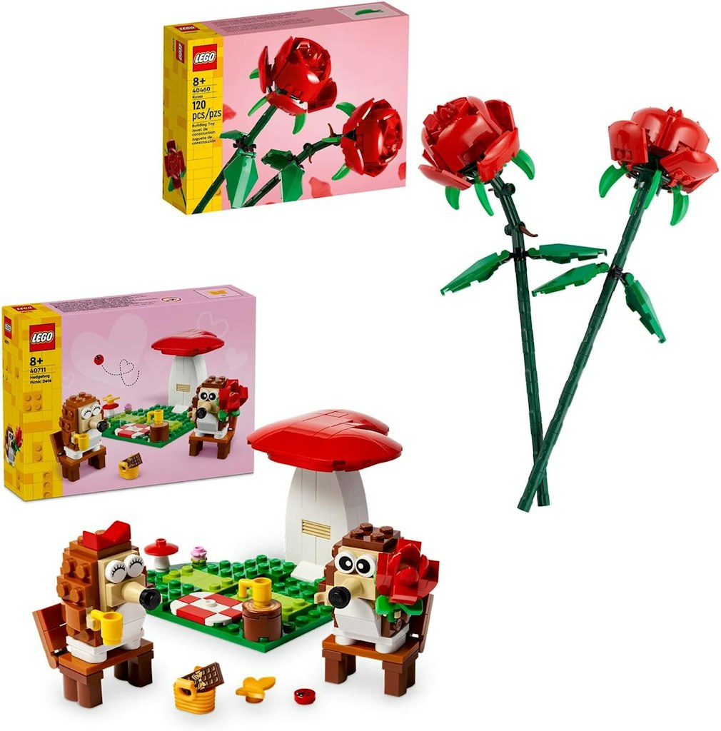 LEGO Roses + LEGO Hedgehog Picnic Date : $20