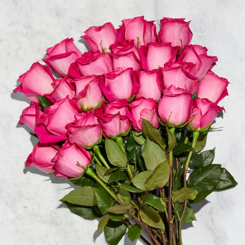 24-Stem Roses at Whole Foods: $30 w/ Prime on Feb 11