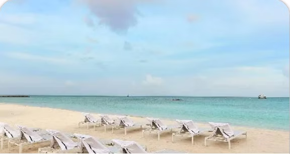 Aruba Vaction Deals at Priceline: Save big on your next hotel stay
