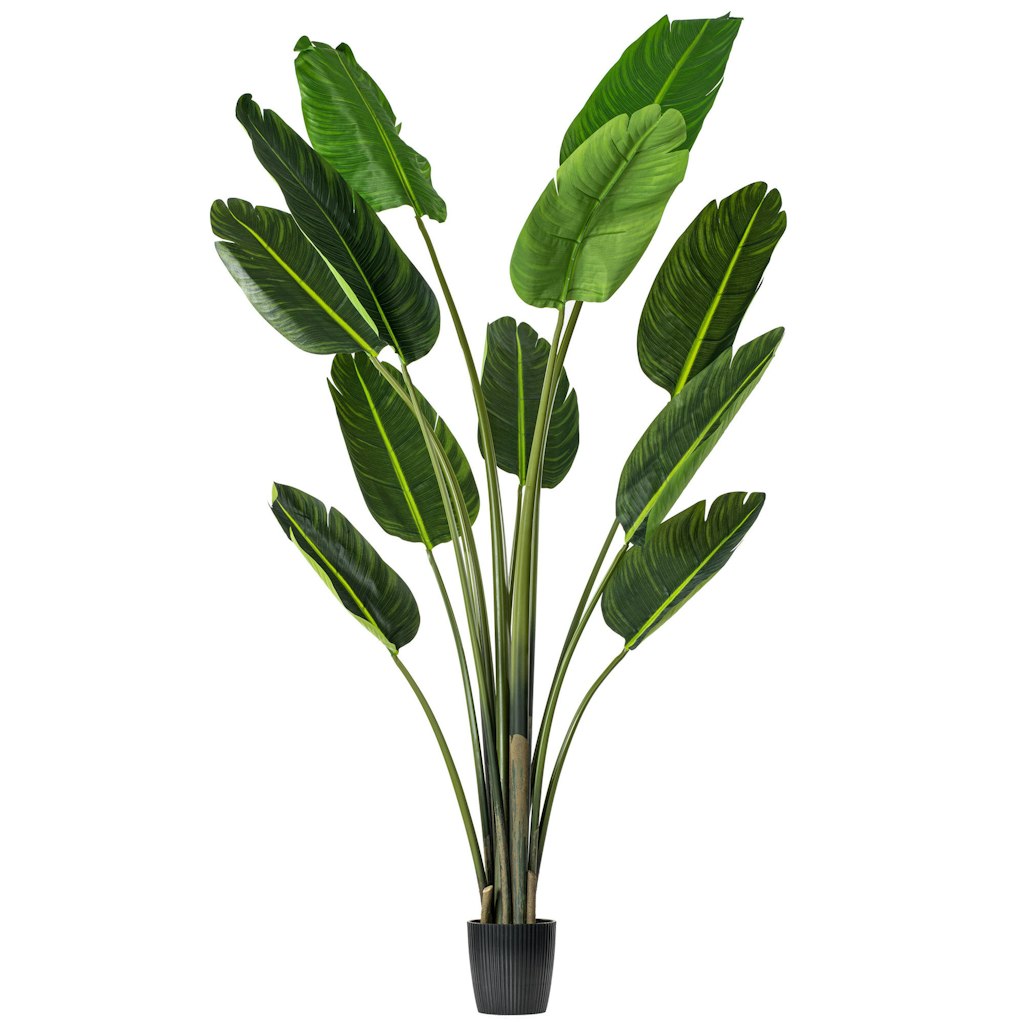 AllModern Faux Plants and Trees Markdowns: Up to 60% off + extra 10% off AllModern Faux Plants and Trees Markdowns: Up to 60% off + extra 10% off