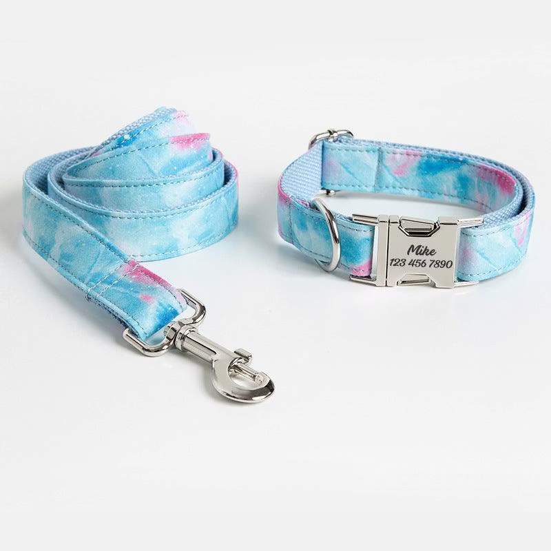 Color Print Personalized Dog Collar with Leash Set: $7.98