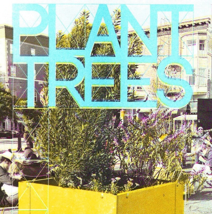 Tree Seedling from Envelope: Free Tree Seedling from Envelope: Free