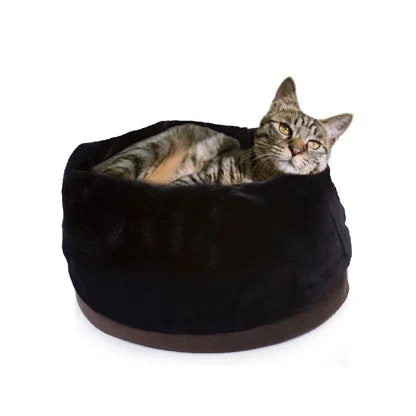 Carolina Pet Company Transformer Doughnut Pet Bed: $51 + Extra 10% off Carolina Pet Company Transformer Doughnut Pet Bed: $51 + Extra 10% off