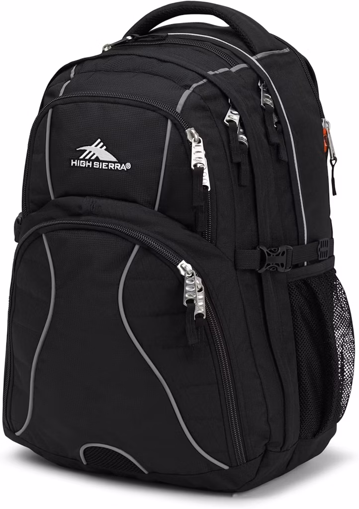 High Sierra Swerve Laptop Backpack: $23
