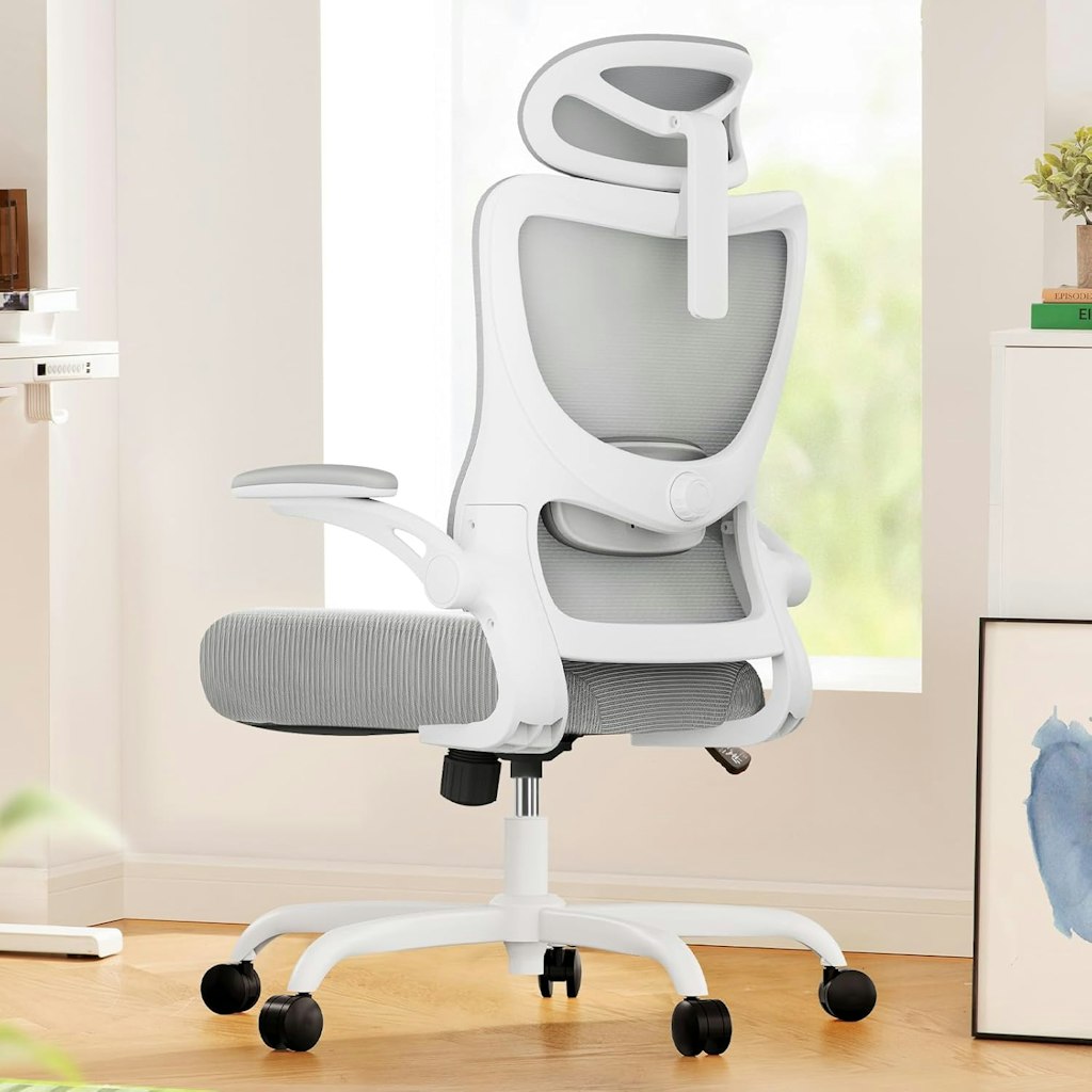 Marsail Ergonomic Office Chair with Adjustable Lumbar: $59.99 in cart Marsail Ergonomic Office Chair with Adjustable Lumbar: $59.99 in cart