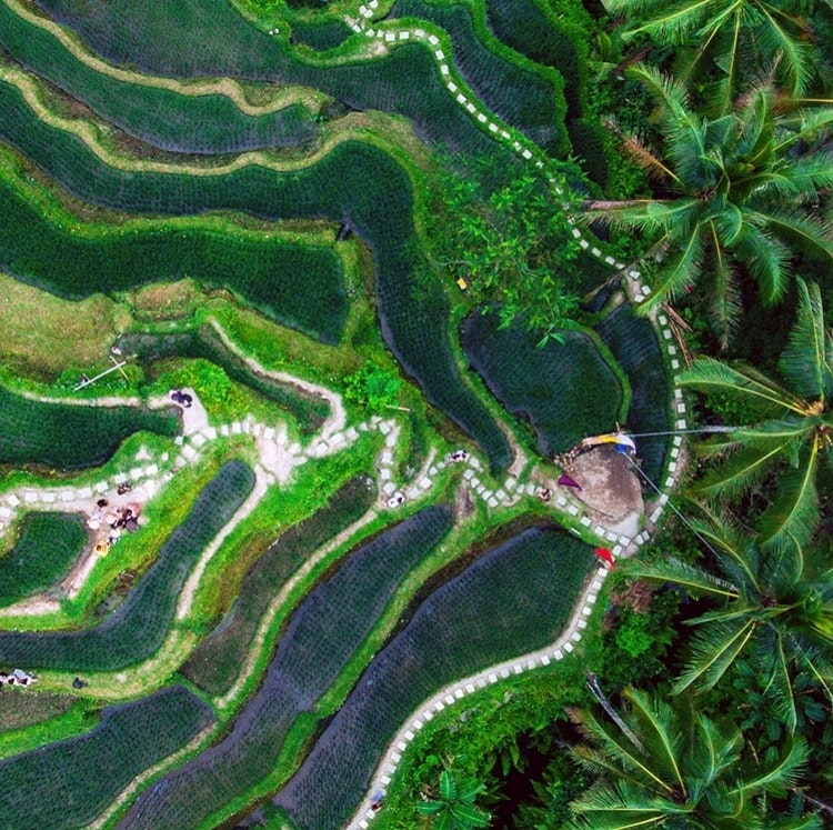 12-Night Bali Flight, Hotel, and Tour Vacation: From $2,398 per person 12-Night Bali Flight, Hotel, and Tour Vacation: From $2,398 per person