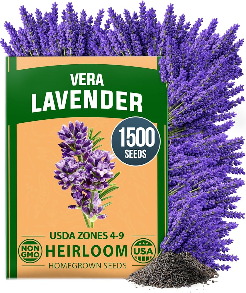 1,500+ English Lavender Seeds: $3.99