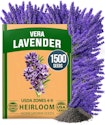 1,500+ English Lavender Seeds for $4 + free shipping w/ Prime