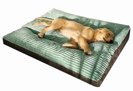 Pet-tacular Fun Treasures at Woot: Up to 67% off