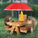 Squirrel Feeder with Umbrella for $15 + free shipping w/ Prime