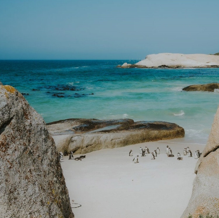 11-Night South Africa Hotel & Tour Vacation: From $5,840 for 2