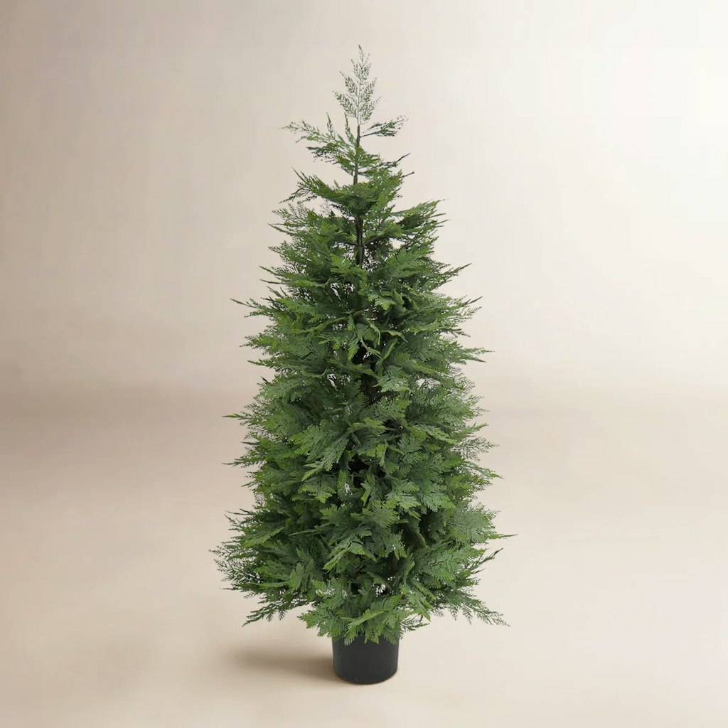 The Holiday Aisle 5 ft. Cypress Tree in Nursery Pot Birch Lane Promo: $59 off + an extra 10% off The Holiday Aisle 5 ft. Cypress Tree in Nursery Pot Birch Lane Promo: $59 off + an extra 10% off