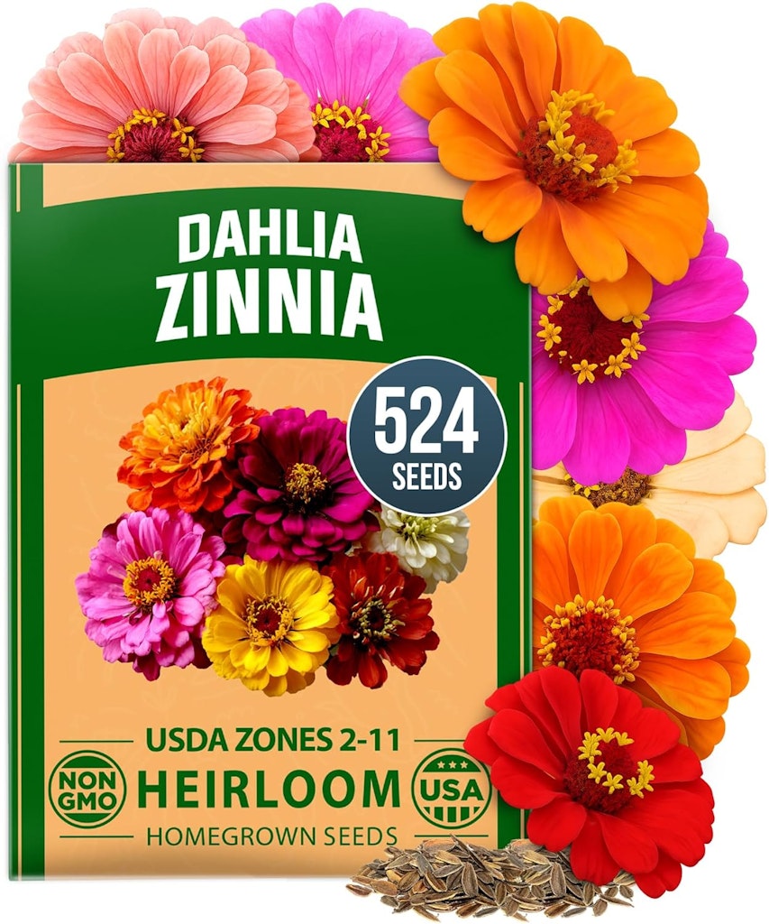 Home Grown Zinnia Dahlia 524-Seed Pack: $6.29 Home Grown Zinnia Dahlia 524-Seed Pack: $6.29