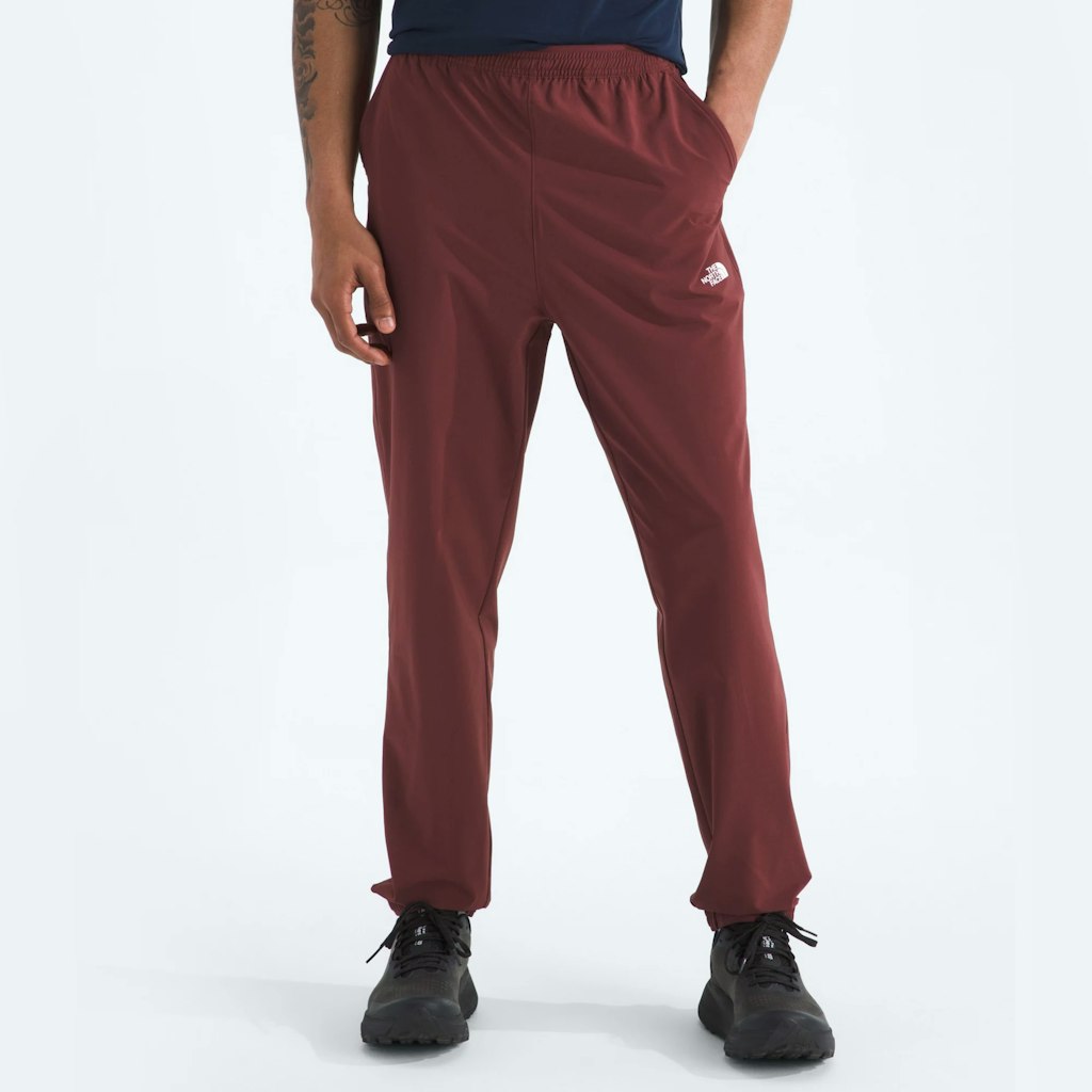  The North Face Men's Wander 2.0 Joggers: $30