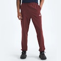 The North Face Men's Wander 2.0 Joggers for $30 + free shipping w/ $49