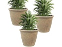 Spring Gardening at Woot: Up to 83% off + free shipping w/ Prime