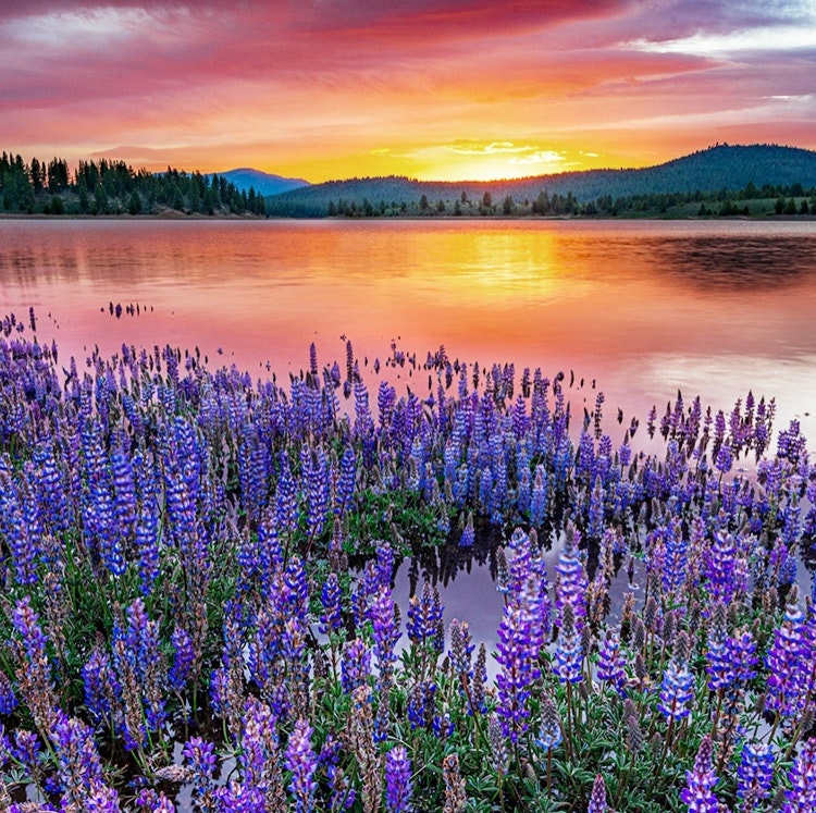 Truckee Tahoe Hotel Gift Card Deal: $150 gift card w/ 3-night stay