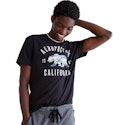 Men's Graphic T-Shirts at Kohl's for From $2.25 + free shipping w/ $49