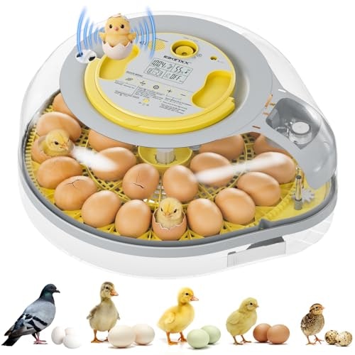 Ibkinxx 26-Egg Incubator for Hatching Eggs: $44.99 Ibkinxx 26-Egg Incubator for Hatching Eggs: $44.99