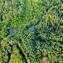 6-Night Costa Rica Flight, Hotel, and Transfer Vacation for From $2,258 for 2