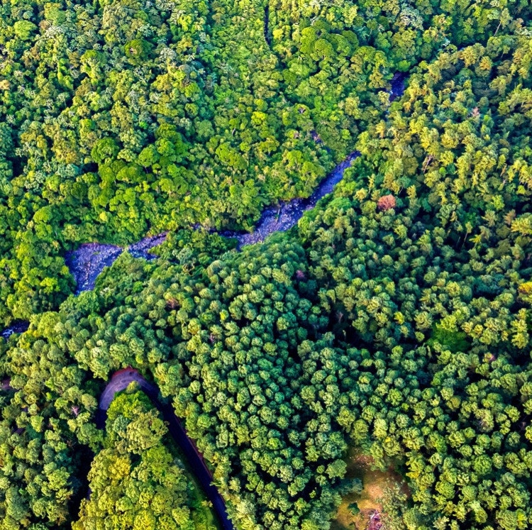 6-Night Costa Rica Flight, Hotel, and Transfer Vacation: From $2,258 for 2