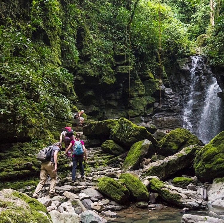 5-Day Ecuador Amazon Guided Vacation: From $1,904 for 2