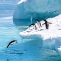 11-Night Antarctica Expedition Vessel Vacation for From $15,836 for 2