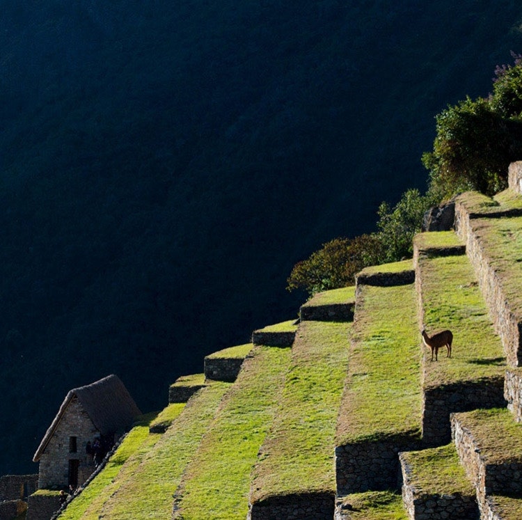 5-Night Peru Guided Tour Vacation: From $1,704 for 2