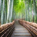 9-Night Tokyo, Kyoto, and Osaka Flight, Hotel, and Bullet Train Vacation for From $3,798 for 2