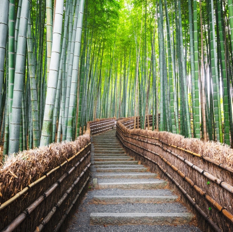 9-Night Tokyo, Kyoto, and Osaka Flight, Hotel, and Bullet Train Vacation: From $3,798 for 2