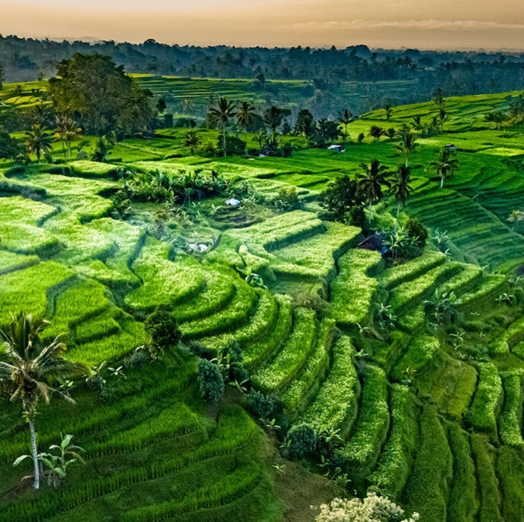 14-Night Bali and Thailand Flight, Hotel, and Tour Vacation: From $5,598 for 2 14-Night Bali and Thailand Flight, Hotel, and Tour Vacation: From $5,598 for 2